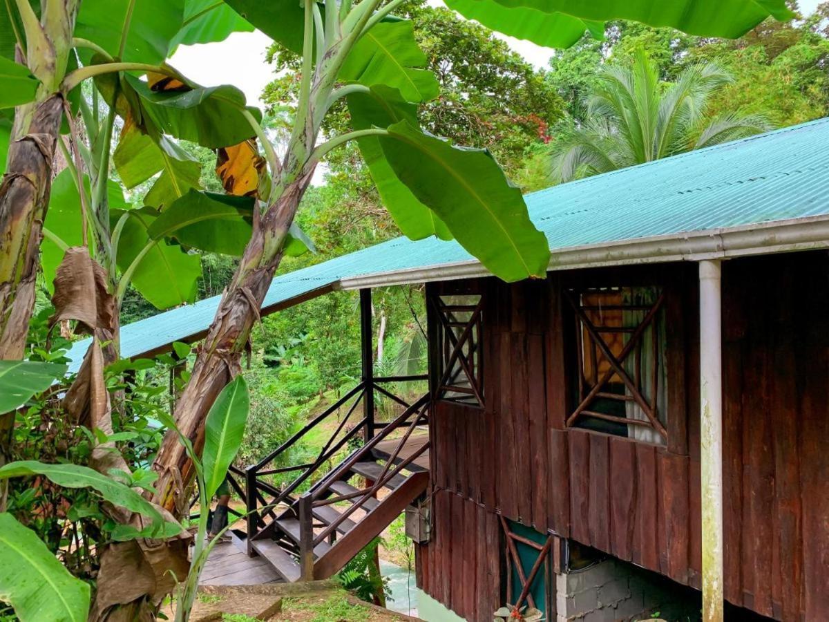 Sukia Hostel Drake Bay ภายนอก รูปภาพ