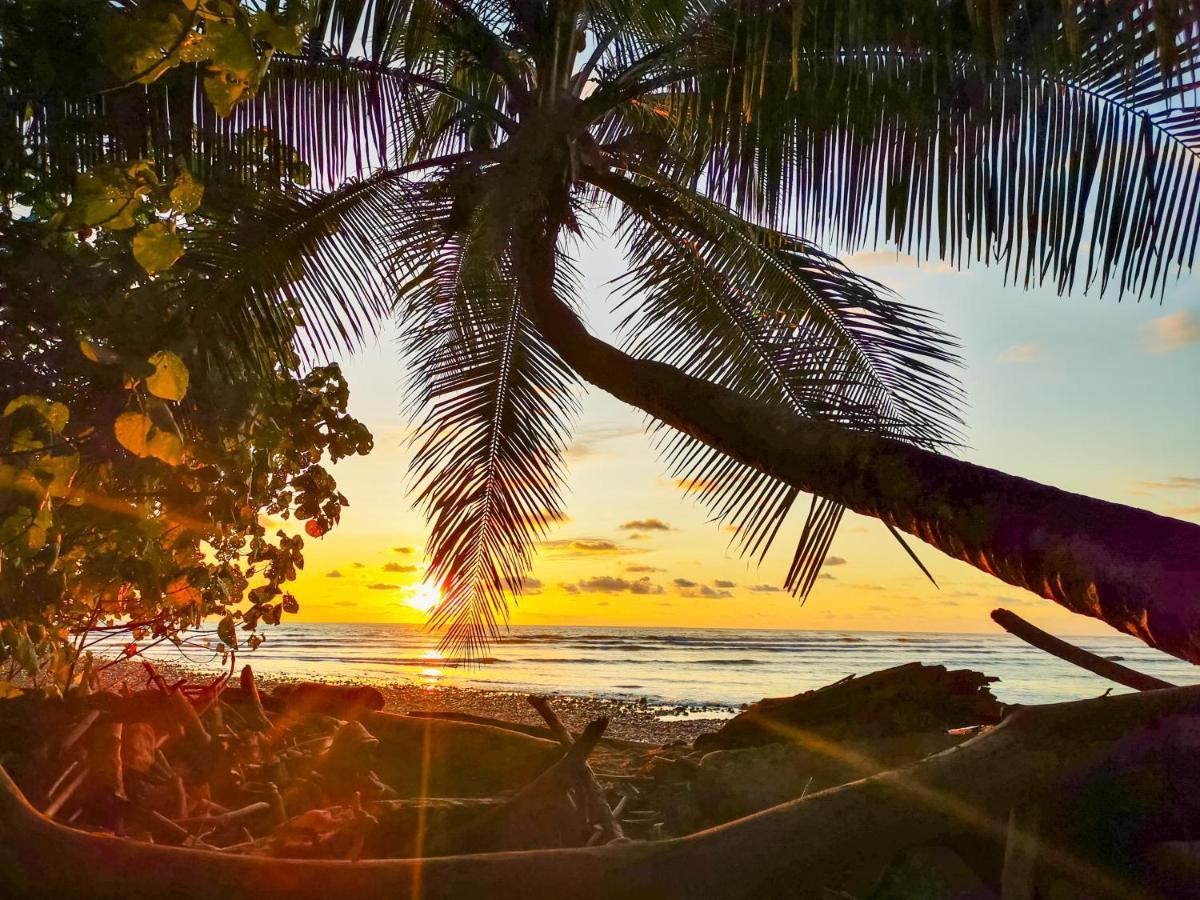 Sukia Hostel Drake Bay ภายนอก รูปภาพ
