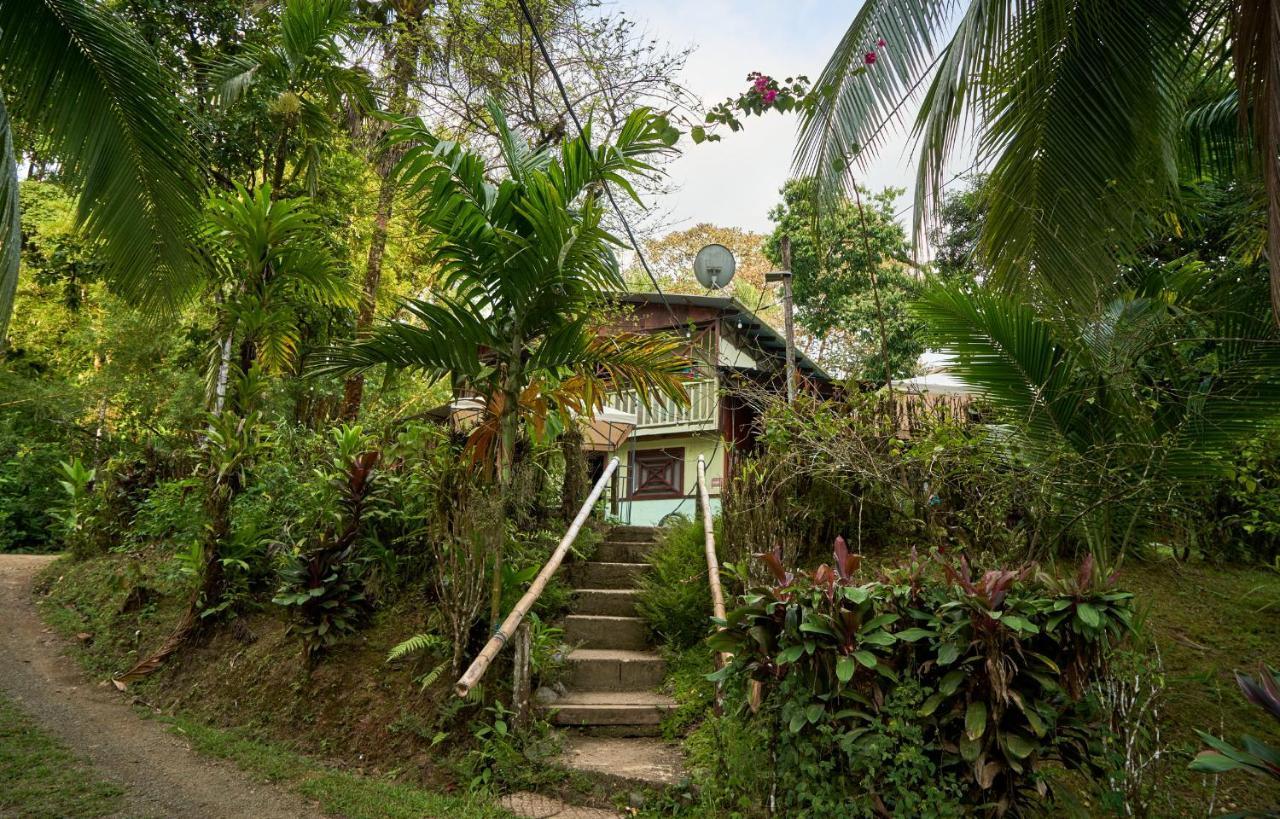 Sukia Hostel Drake Bay ภายนอก รูปภาพ