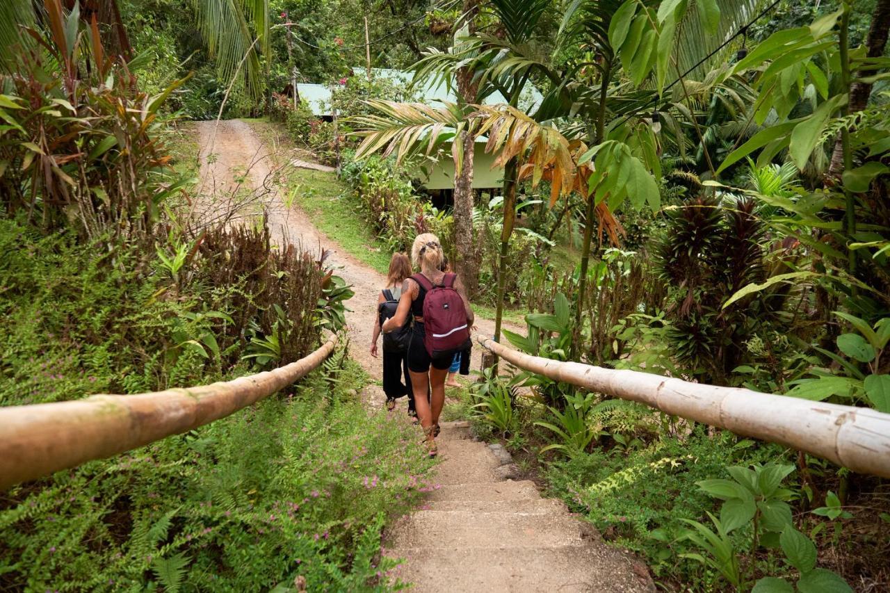 Sukia Hostel Drake Bay ภายนอก รูปภาพ
