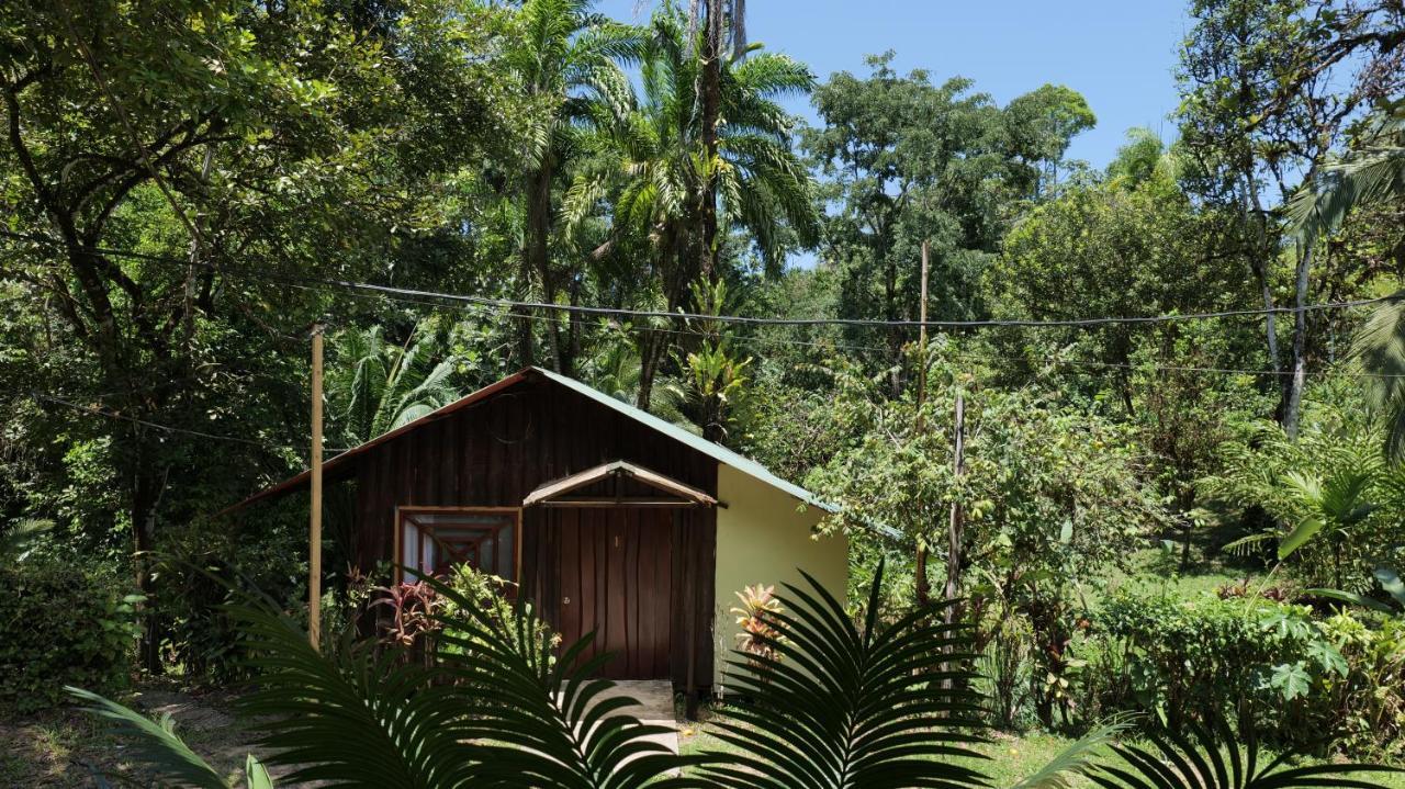 Sukia Hostel Drake Bay ภายนอก รูปภาพ