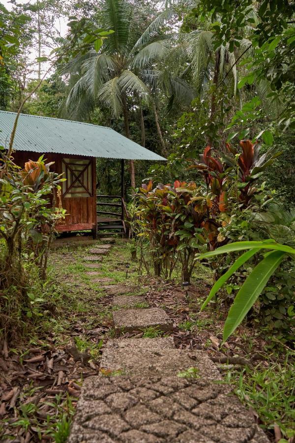 Sukia Hostel Drake Bay ภายนอก รูปภาพ