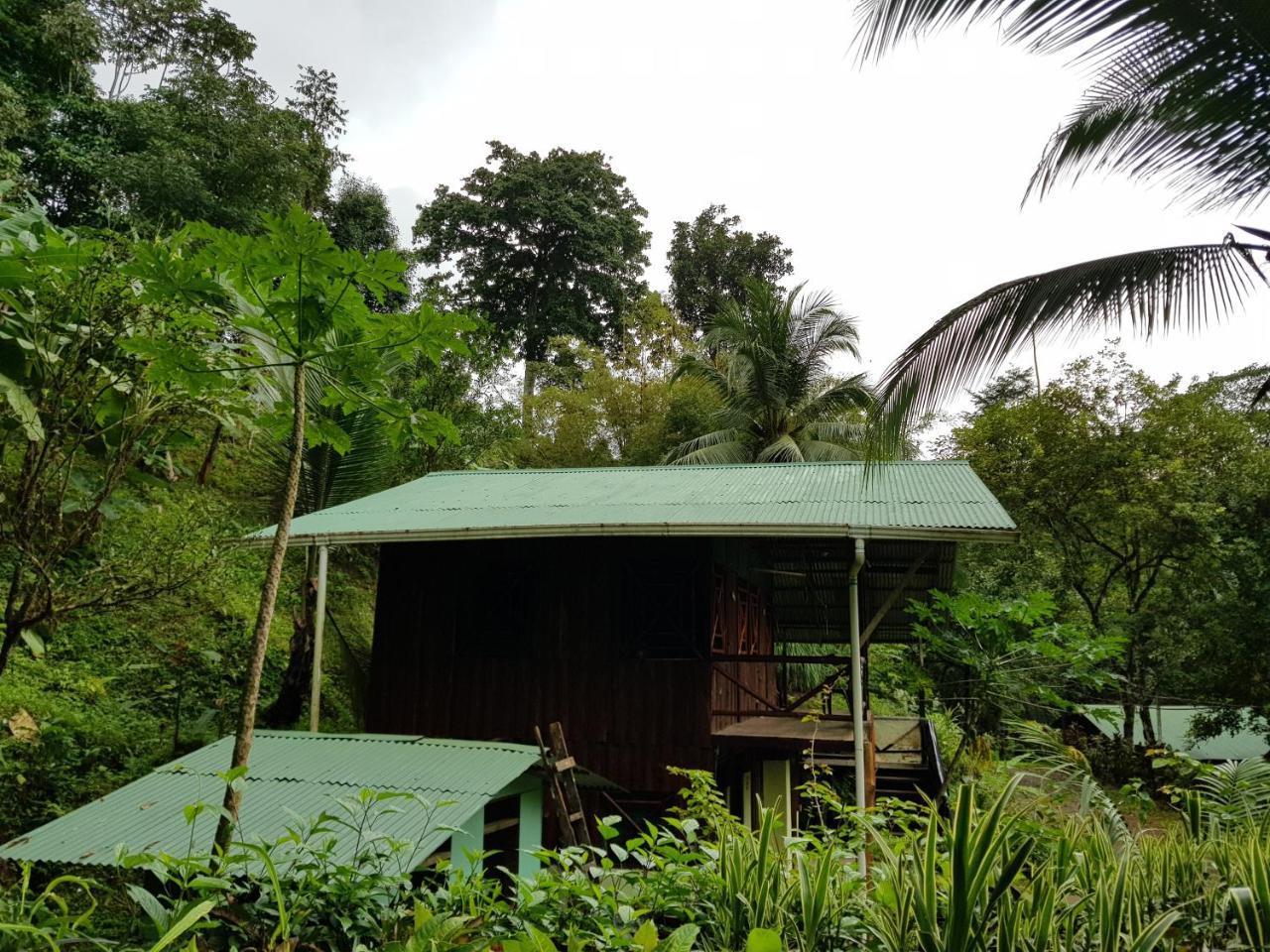 Sukia Hostel Drake Bay ภายนอก รูปภาพ