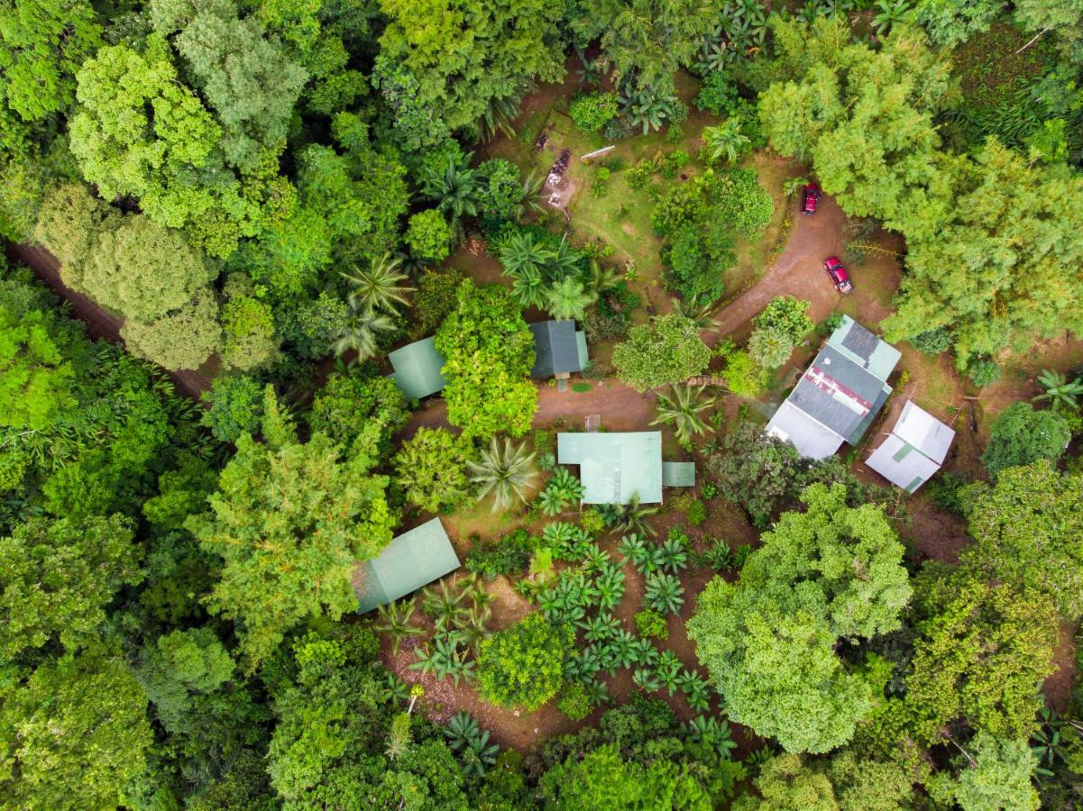 Sukia Hostel Drake Bay ภายนอก รูปภาพ